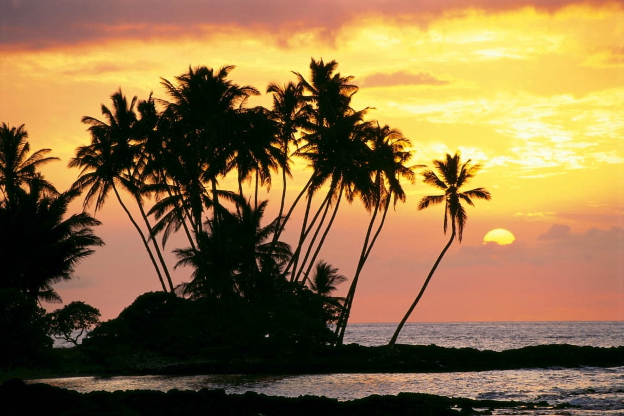 Hawaii Big Island Wailua Bay View Of Palm Trees At Sunset Calm Ocean Waters Canvas Art - Chris Abraham Design Pics (38 x 24)