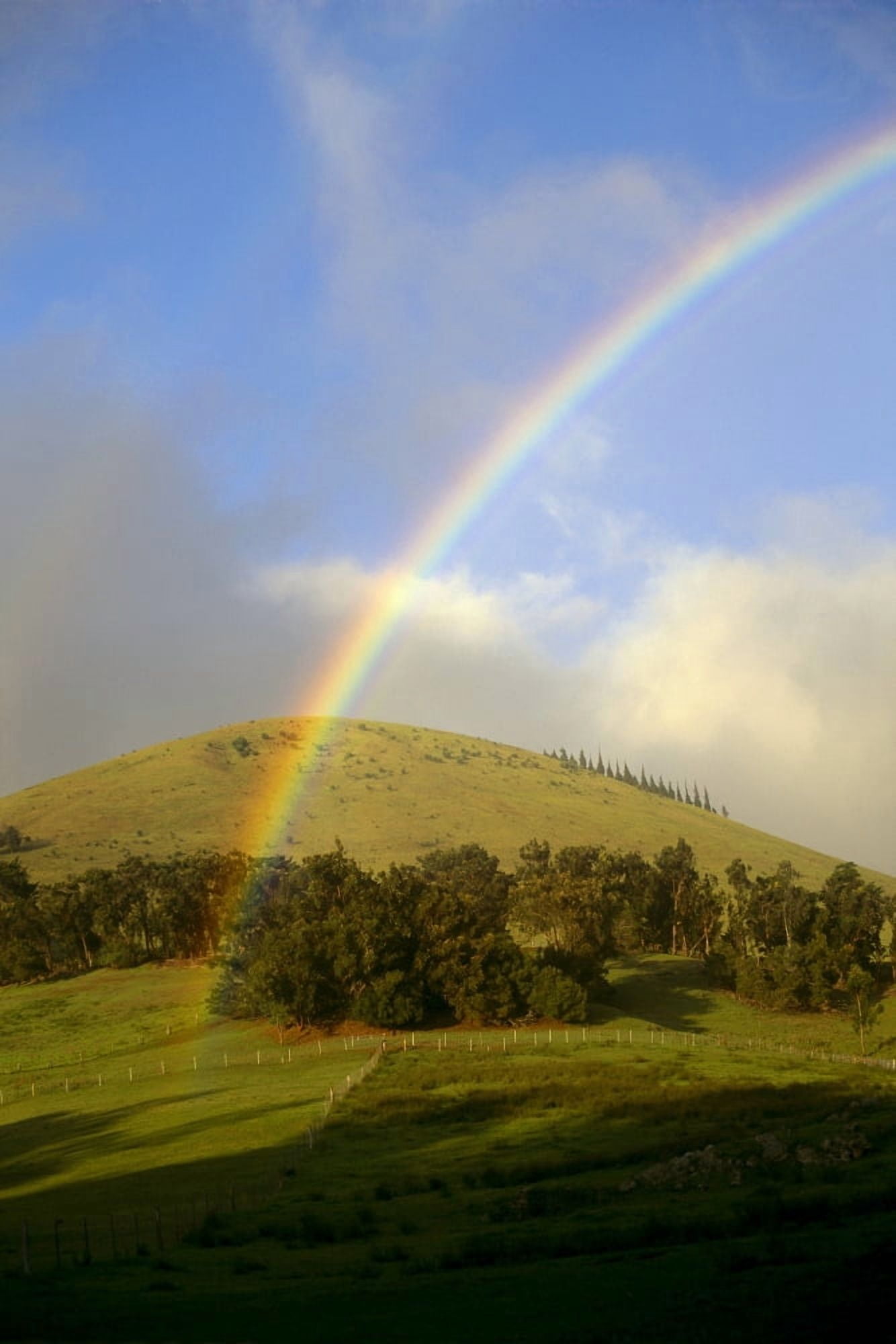 Hawaii Big Island Waimea Rainbow Over Pastures B1448 Canvas Art - Peter French Design Pics (12 x 19)