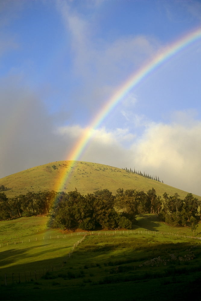 Hawaii Big Island Waimea Rainbow Over Pastures B1448 Canvas Art - Peter French Design Pics (24 x 38)