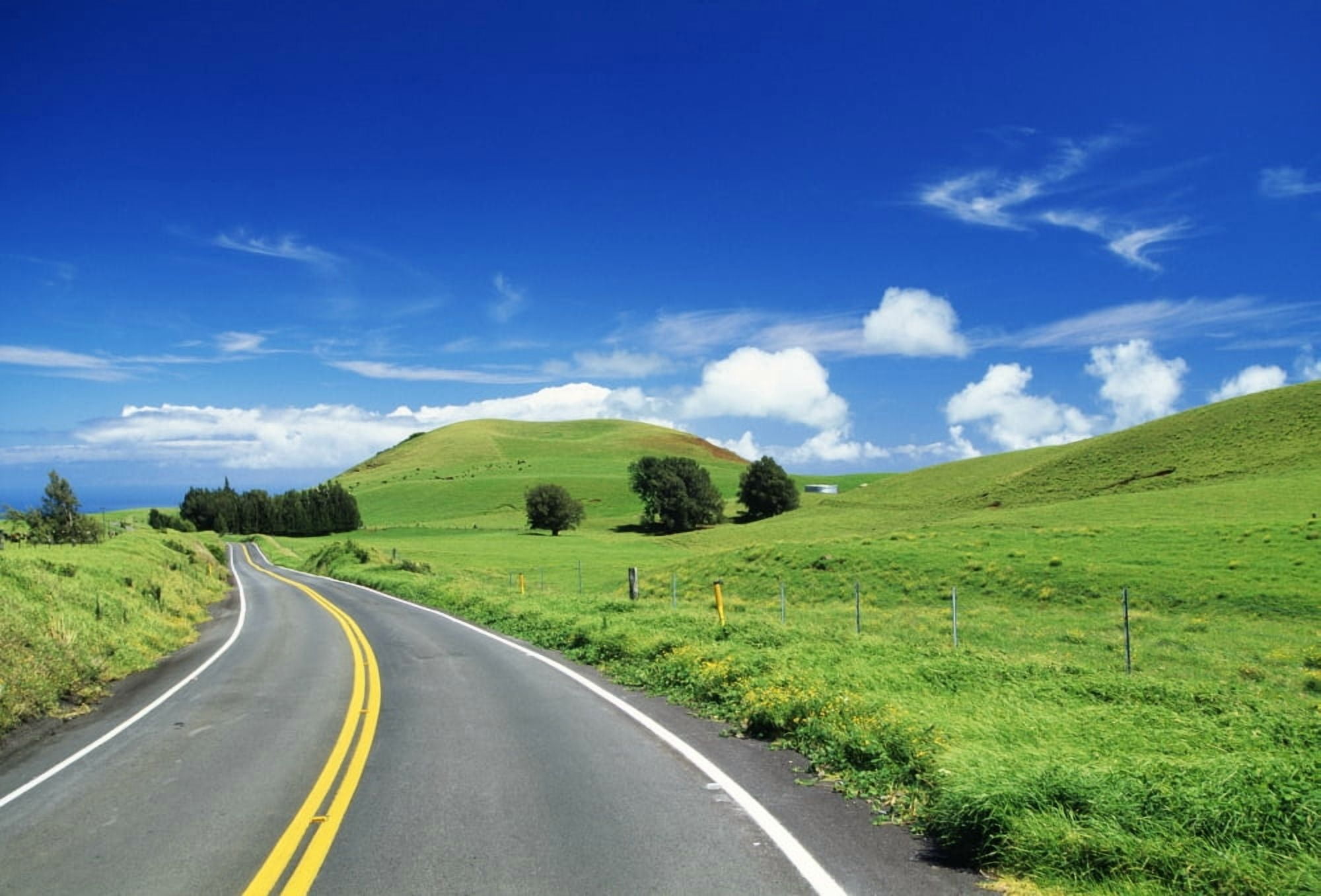 Hawaii Big Island Waimea Ranch Land Road Curving Through Lush Pasture Canvas Art - Chris Abraham Design Pics (18 x 12)