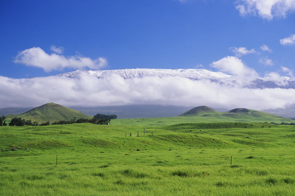 Hawaii Big Island Waimea View Of Snowcapped Mauna Kea From Lush Rolling Hills Below Canvas Art - Peter French Design Pics (19 x 12)
