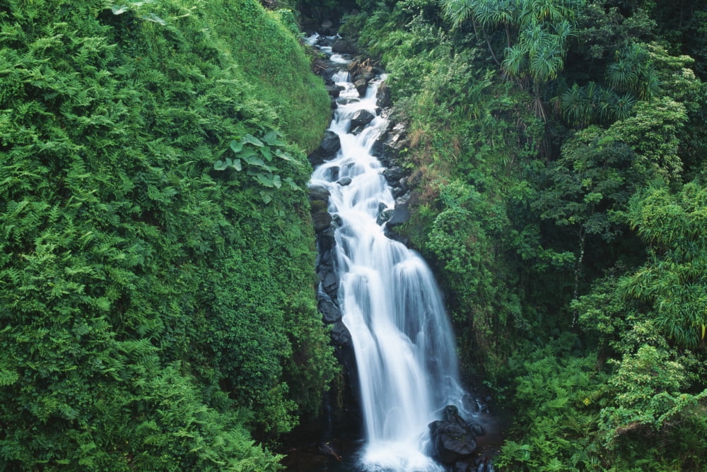 Hawaii Big Island Waterful On Hamakua Coast Canvas Art - Robert Sablan Design Pics (19 x 12)