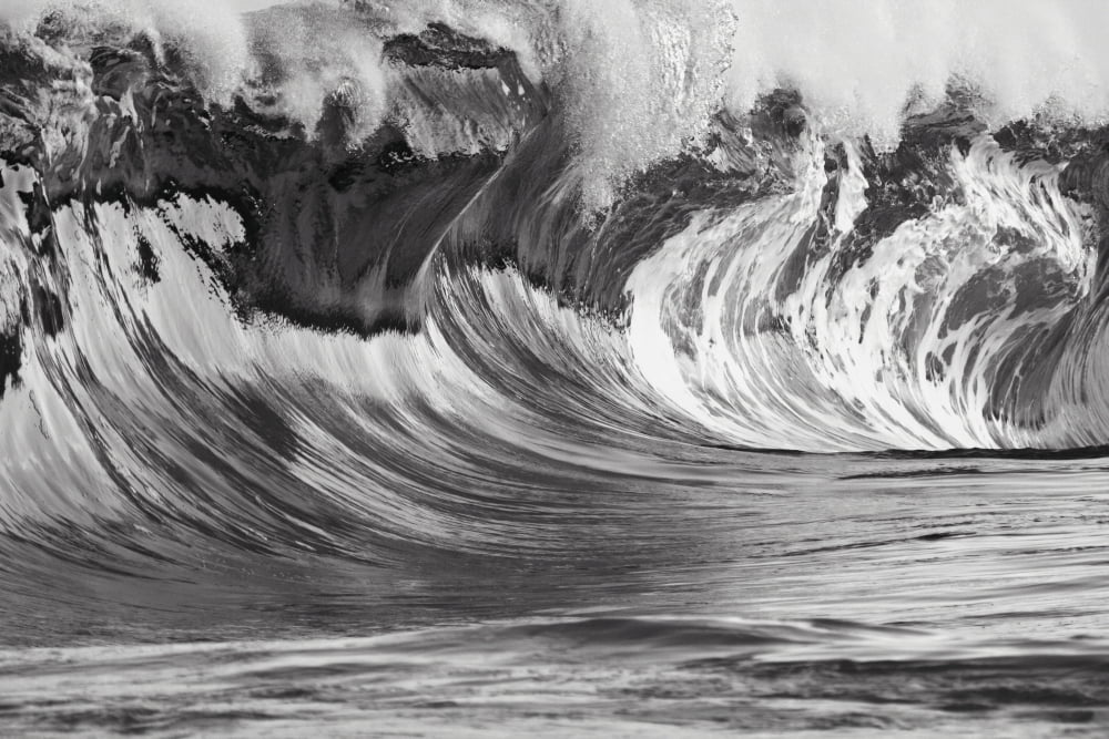 Hawaii Big powerful wave breaks on the shore (black and white) Canvas Art - Vince Cavataio Design Pics (19 x 12)