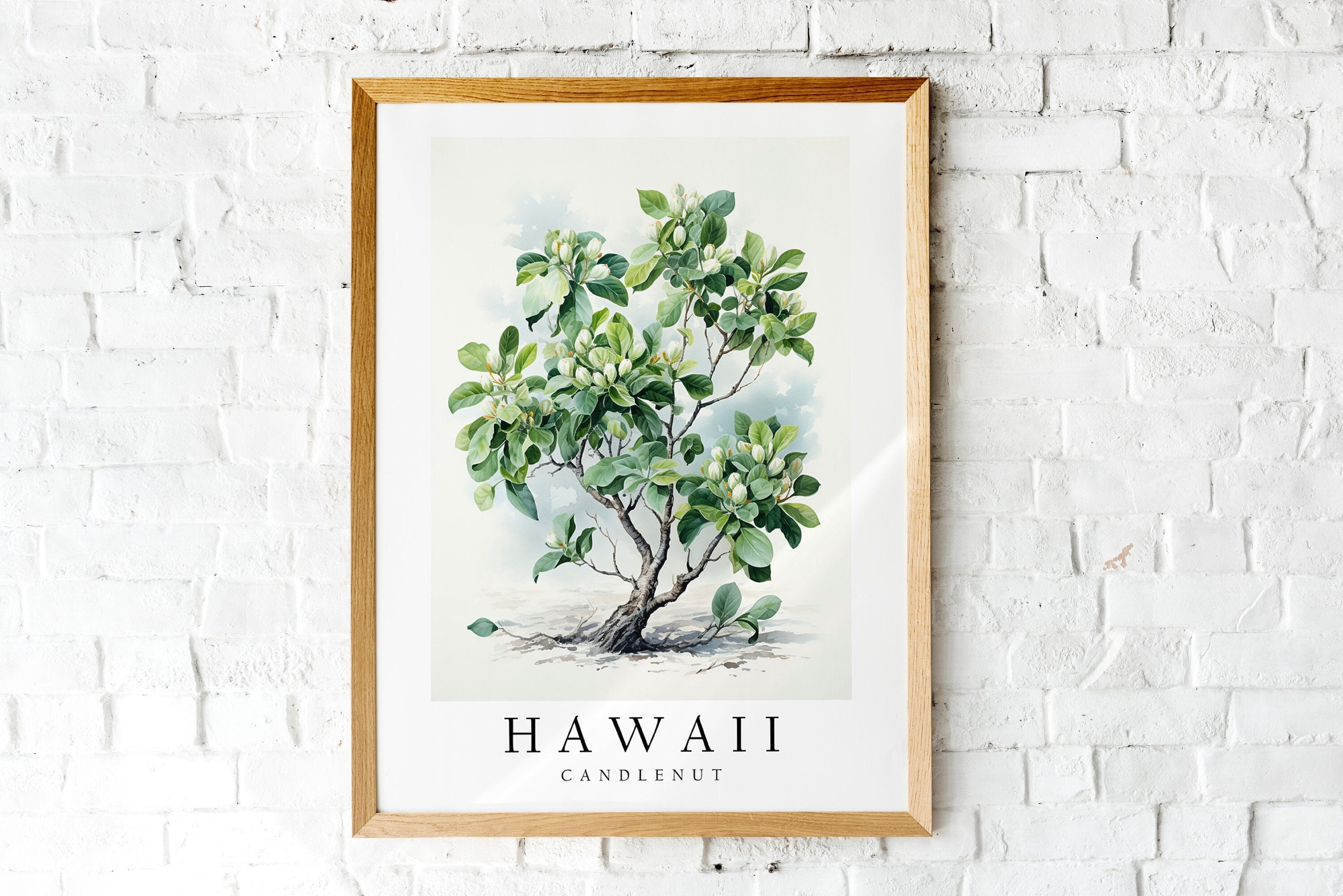 Hawaii Candlenut The State Tree Of D Cor Poster , Poster Print Only ...