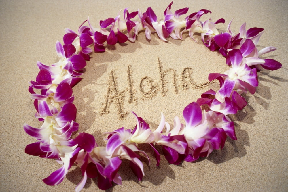 Hawaii Close-Up Detail Of Purple Orchid Lei On Beach Aloha Written In Sand C1445 Canvas Art - Mary Van de Ven Design Pics (19 x 12)