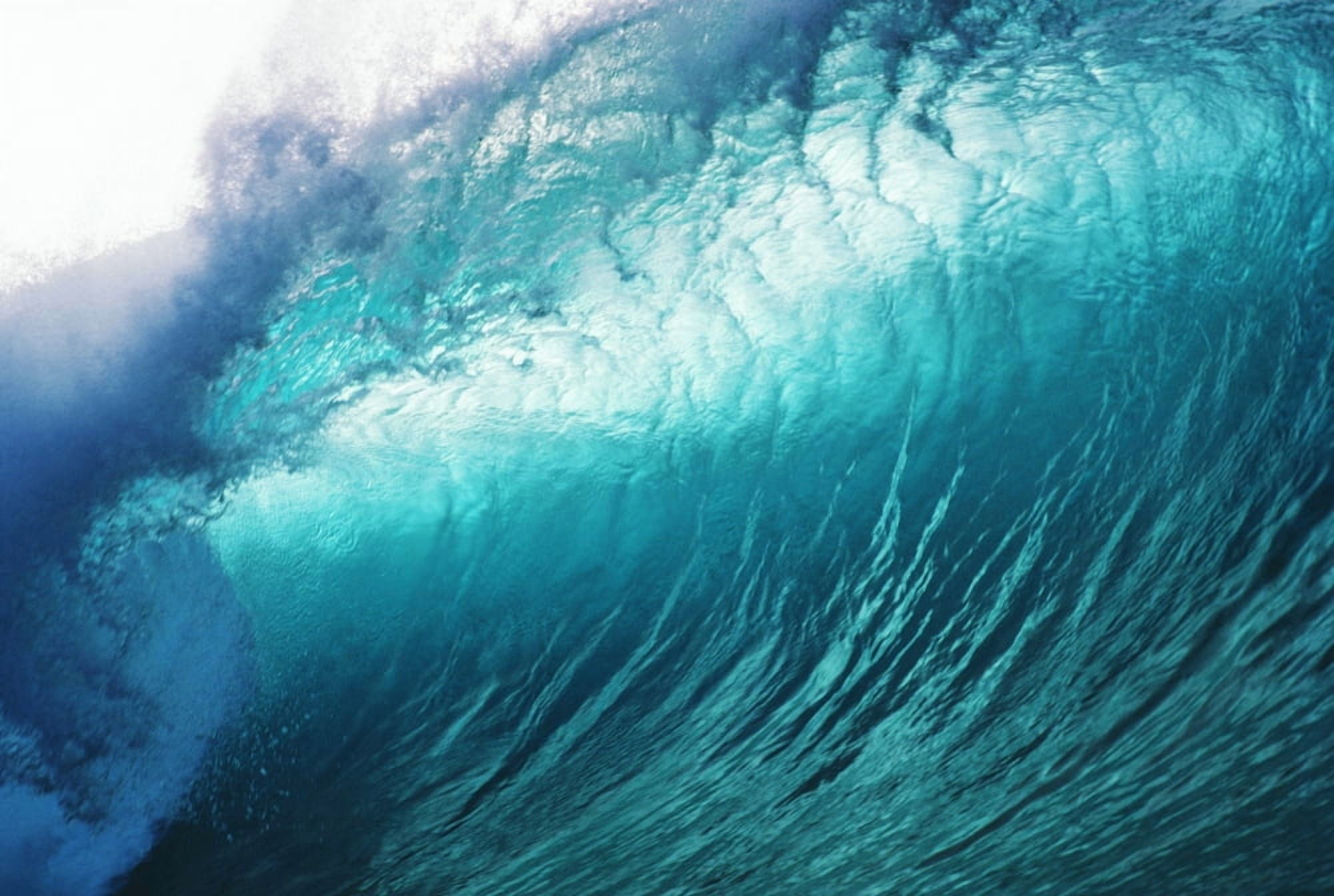 Hawaii Close Up Of Huge Glassy Wave Canvas Art - Liysa Swart Design Pics (19 x 12)