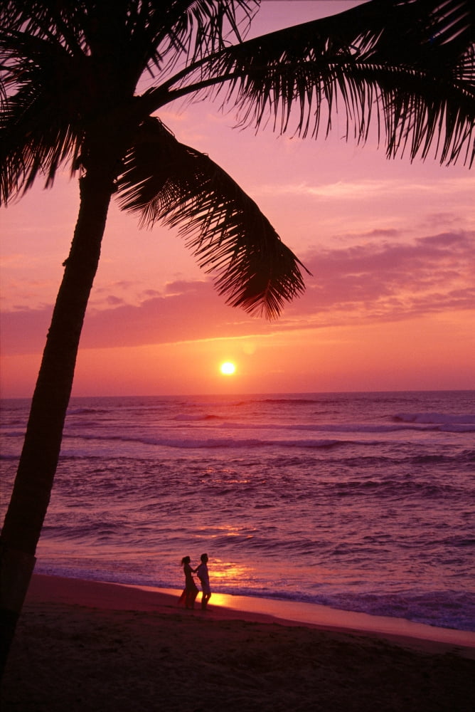 Hawaii Couple Silhouetted On The Beach At Sunset With Tall Palm Foreground A05G Canvas Art - Tomas del Amo Design Pics (12 x 19)