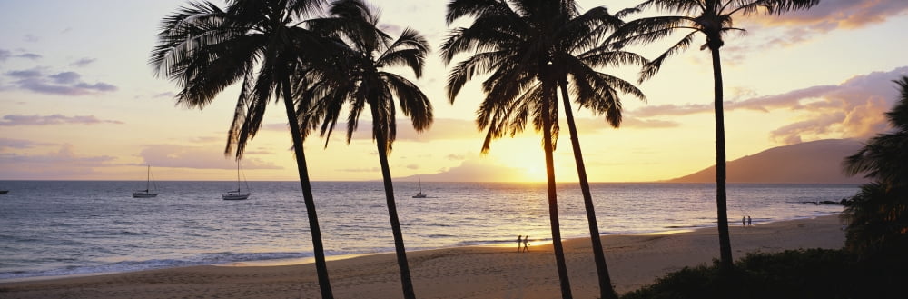 Hawaii Couple walks on tropical beach at sunset palm trees boats anchored offshore Canvas Art - Bill Schildge Design Pics (29 x 9)
