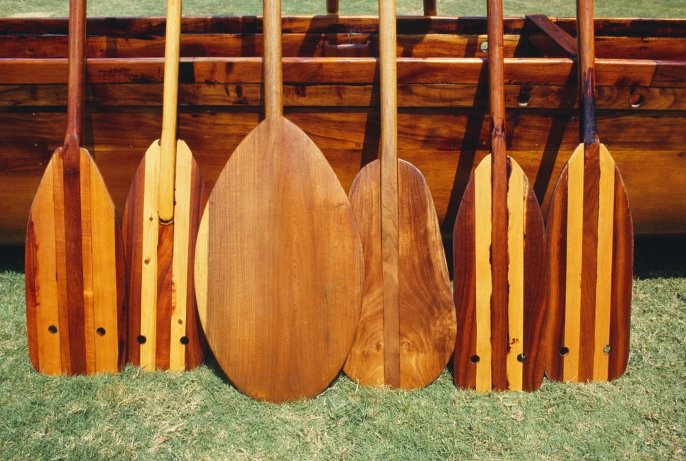 Hawaii Different Shaped Canoe Paddles In Front Of Koa Canoe Canvas Art - Joe Carini Design Pics (38 x 24)