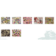thumbnail image 1 of Hawaii Fabric Cotton Anime Print Assorted Fabric, per Yard, 1 of 1