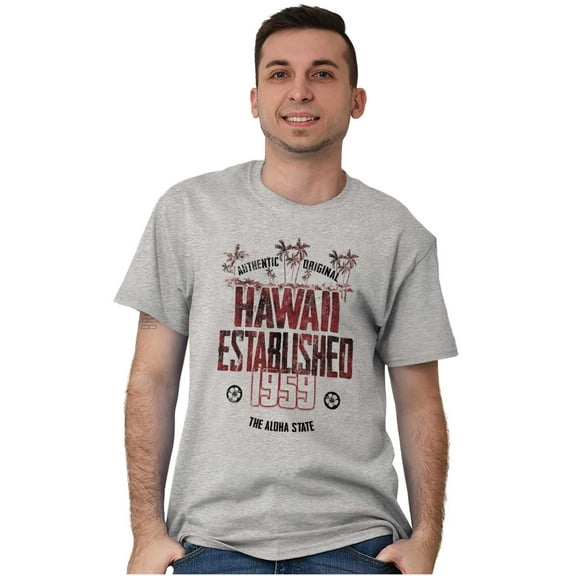 Hawaii HI Beach Adventure Palm Trees Men's Graphic T Shirt Tees Brisco Brands S