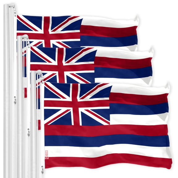 Hawaii HI State Flag 3x5FT 3-Pack 150D Printed Polyester By G128