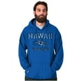 thumbnail image 1 of Hawaii Hibiscus Flower Distressed HI Unisex Plus Fleece Graphic Hoodie Brisco Brands 2X, 1 of 5