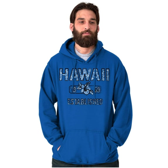 Hawaii Hibiscus Flower Distressed HI Unisex Plus Fleece Graphic Hoodie Brisco Brands 2X