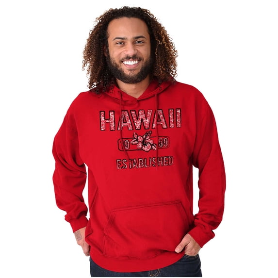 Hawaii Hibiscus Flower Distressed HI Unisex Plus Fleece Graphic Hoodie Brisco Brands 2X