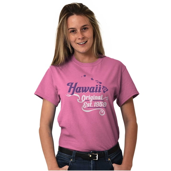 Hawaii Hibiscus State Shape Filagree Women's Plus Size Graphic Tee Brisco Brands 4X