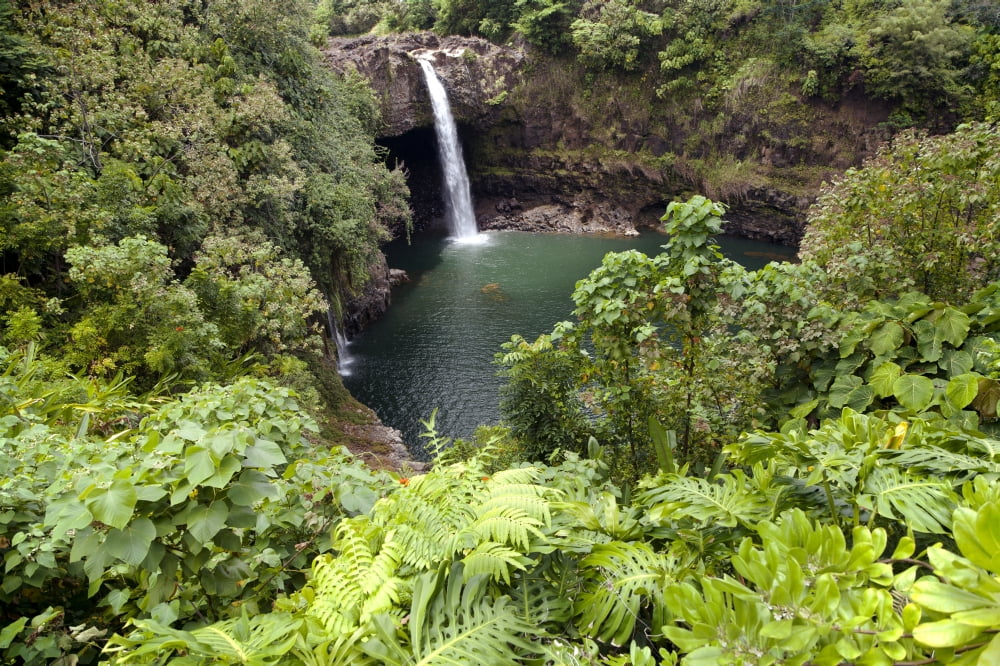 Hawaii Hilo Rainbow Falls surrounded by lush greenery Canvas Art - Peter French Design Pics (19 x 12)