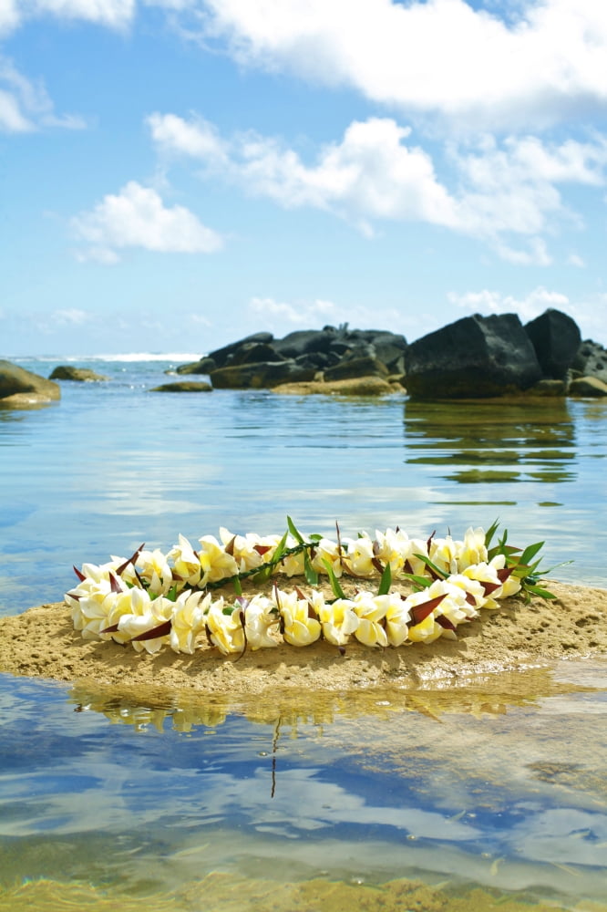 Hawaii Kauai Anahola Sharks Heiau Along Ocean Plumeria Lei On Sand Canvas Art - Kicka Witte Design Pics (22 x 34)