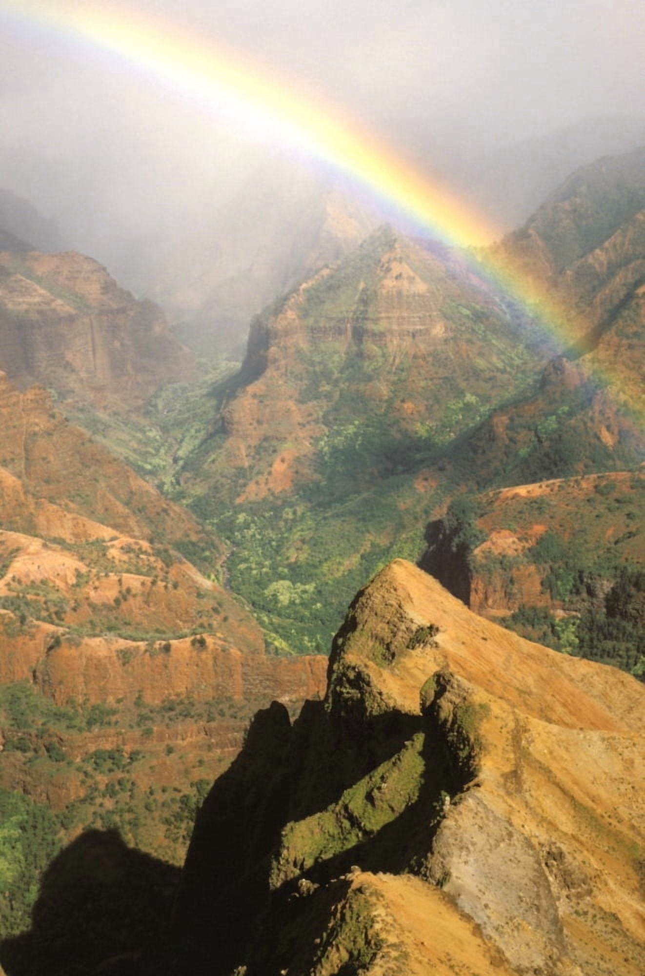 Hawaii Kauai Bright Rainbow Over Waimea Canyon Canvas Art - Brent Black Design Pics (22 x 34)