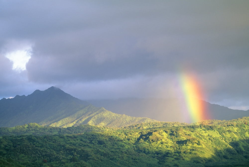 Hawaii Kauai End Of Rainbow Lands In Hanalei Valley Large Gray Clouds Canvas Art - Ron Dahlquist Design Pics (19 x 12)