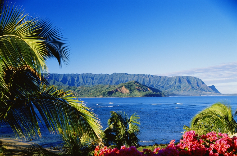 Hawaii Kauai Hanalei Bay Bali Hai Ocean And Coastline Framed With Flowers And Palms Canvas Art - David Cornwell Design Pics (19 x 12)