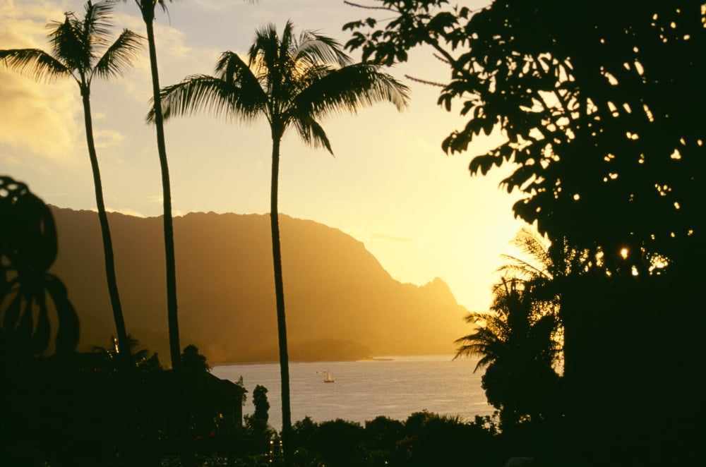 Hawaii Kauai Hanalei Bay Bali Hai Yellow Sunset Through Palm Trees And Vegetation Canvas Art - David Cornwell Design Pics (19 x 12)