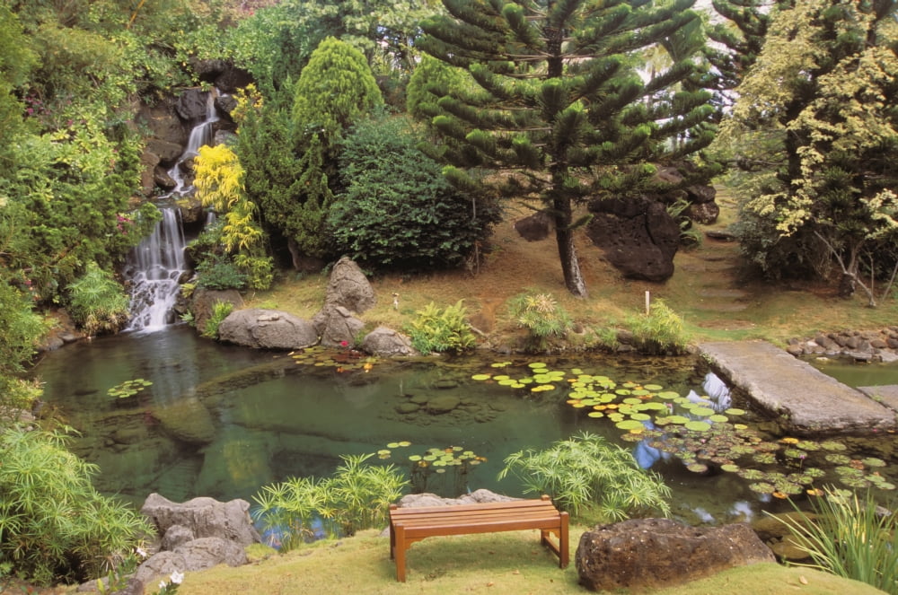 Hawaii Kauai Kilauea Na Aina Kai Botanical Garden Scenery Peaceful Waterfall And Pond Canvas Art - Rita Ariyoshi Design Pics (19 x 12)