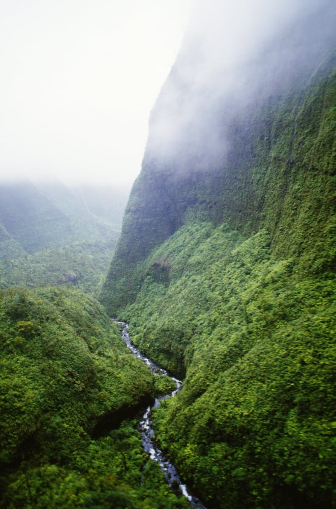 Hawaii Kauai Mt Waialeale Wettest Spot On Earth Canvas Art - Peter French Design Pics (12 x 19)