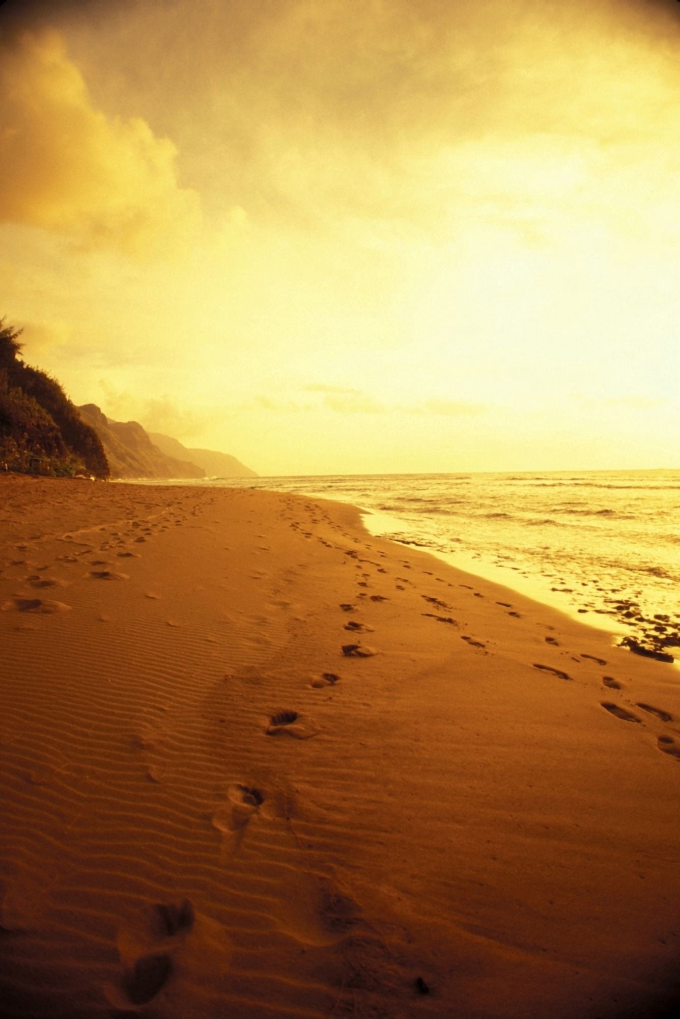Hawaii Kauai Na Pali Coast Beach At Sunset With Footprints In Sand Golden Sky And Water Canvas Art - Carl Shaneff Design Pics (11 x 17)