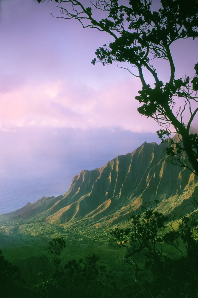 Hawaii Kauai Na Pali Coast Kalalau Valley And Kaaalahina Ridge View From Kokee State Park Lookout Canvas Art - Greg Vaughn Design Pics (11 x 17)