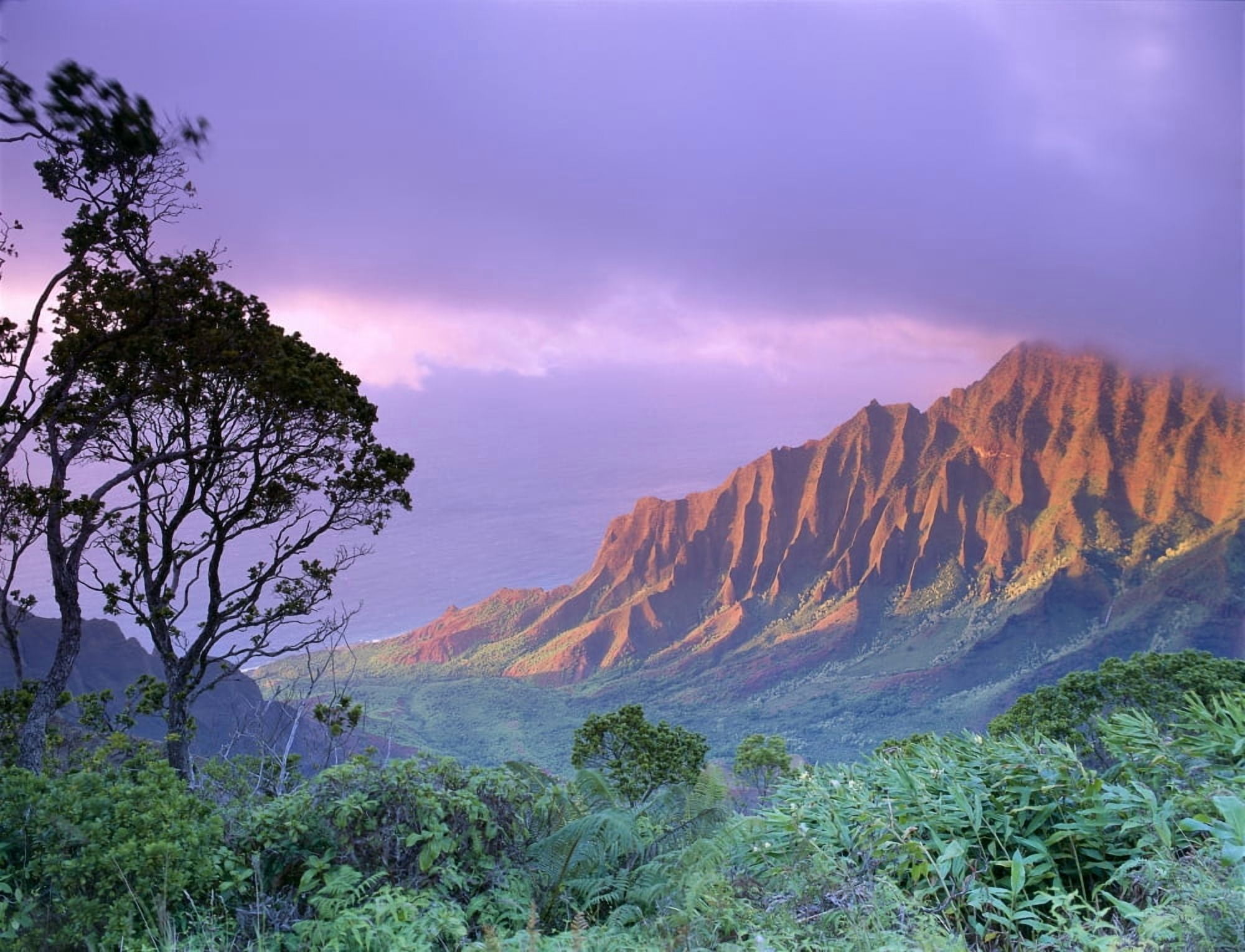 Hawaii Kauai Na Pali Coast Kalalau Valley Kaaalahina Ridge Purple Sky B1535 Canvas Art - Greg Vaughn  Design Pics (17 x 13)