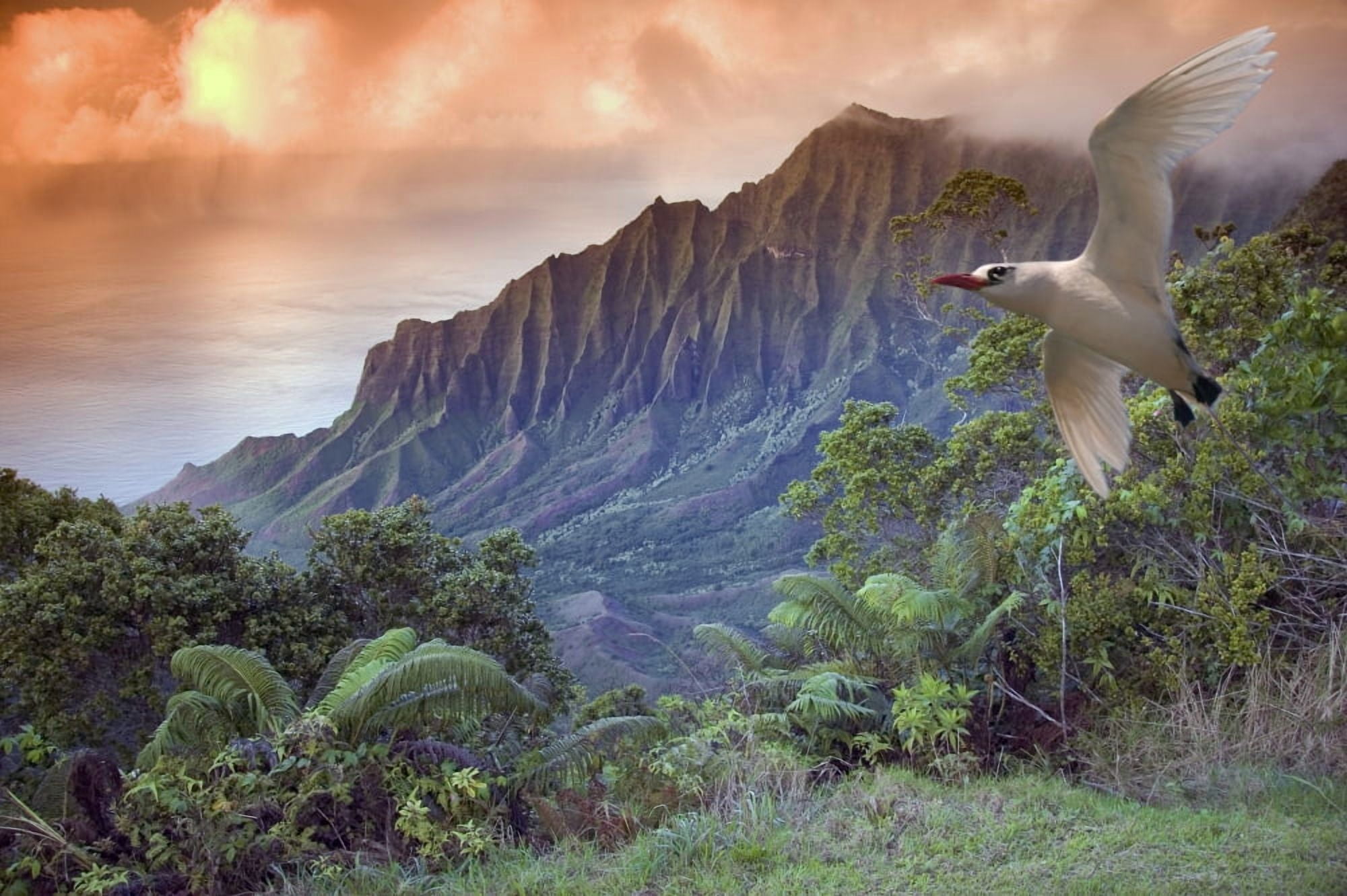 Hawaii Kauai Na Pali Coast Kalalau Valley And Kaaalahina Ridge View From Kokee State Park Lookout With Bird Flying Through Foreground Canvas Art - Dave Fleetham Design Pics (34 x 22)