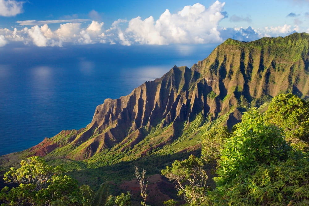 Hawaii Kauai Na Pali Coast Kalalau Valley View From Kokee State Park Canvas Art - M Swiet Productions Design Pics (19 x 12)