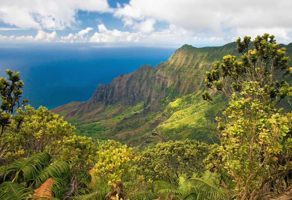 Hawaii Kauai Na Pali Coast Kalalau Valley View From Kokee State Park Canvas Art - M Swiet Productions Design Pics (36 x 24)