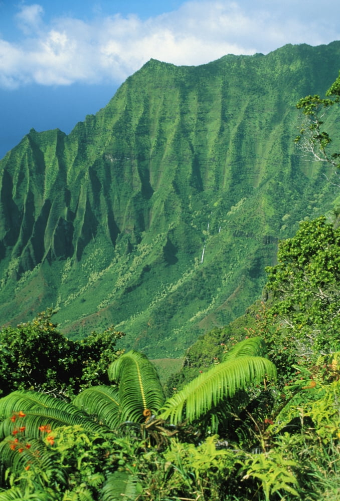 Hawaii Kauai Na Pali Coast Overlooking Kalalau Valley Canvas Art - Peter French Design Pics (22 x 34)