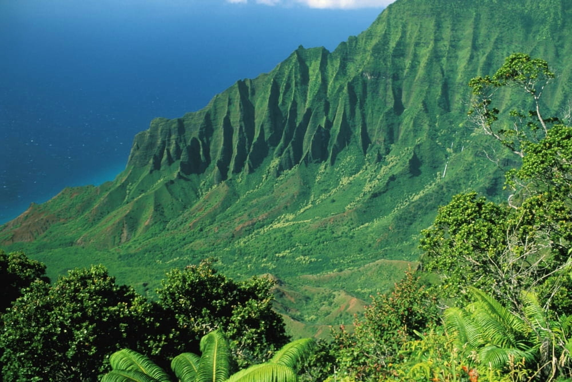 Hawaii Kauai Na Pali Coast Overlooking Kalalau Valley Canvas Art - Peter French Design Pics (34 x 22)