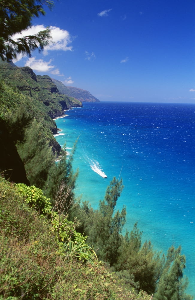 Hawaii Kauai Napali Coast Dramatic Cliffs Ocean Canvas Art - Bill Schildge Design Pics (12 x 19)