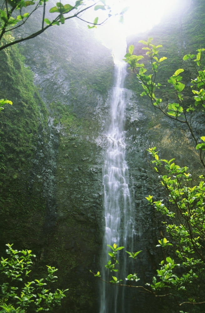 Hawaii Kauai Napali Coast Hanakapiai Falls Canvas Art - Himani Smeaton Design Pics (24 x 38)
