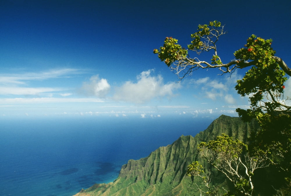 Hawaii Kauai Napali Coast Kalalau Valley Cliffs And Ocean Canvas Art - David Cornwell Design Pics (38 x 24)