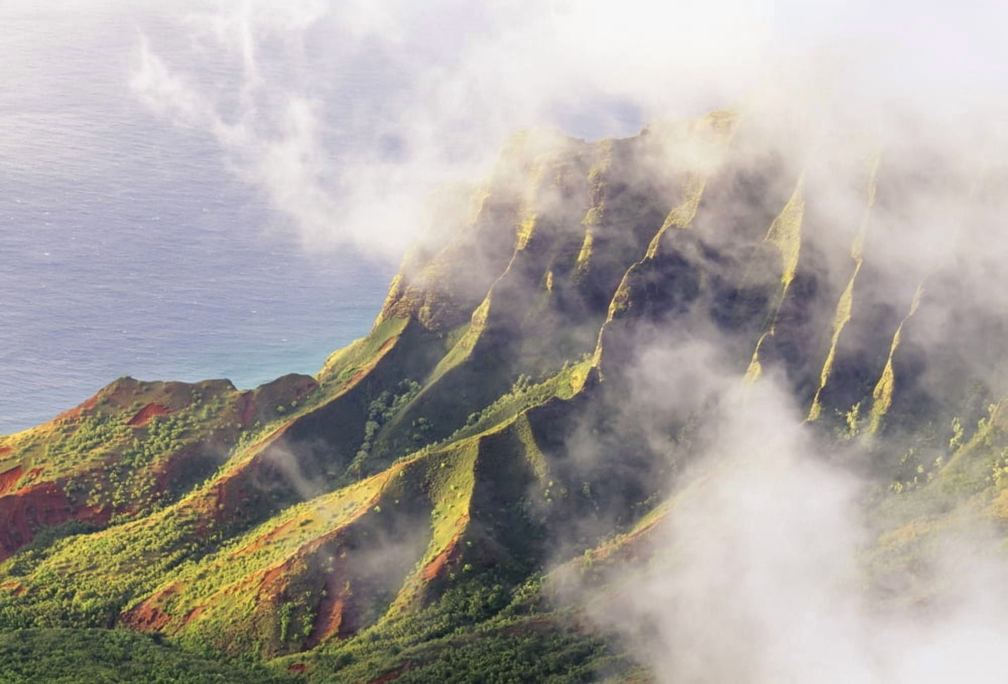 Hawaii Kauai Napali Coast Kokee State Park Kalalau Valley Viewpoint Canvas Art - Carl Shaneff Design Pics (34 x 24)