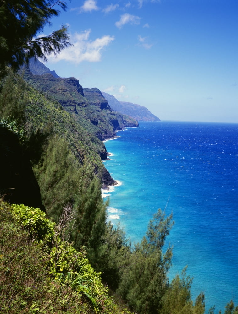 Hawaii Kauai Napali Coast Trail Lush Greenery Bright Blue Sky And Ocean Canvas Art - Bill Schildge Design Pics (26 x 34)