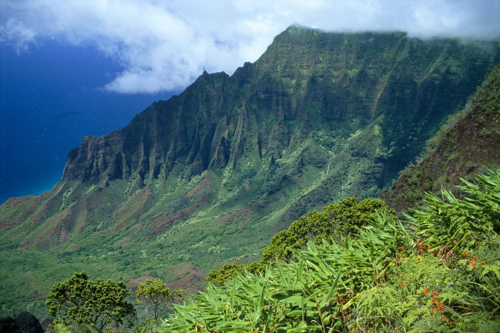 Hawaii Kauai North Shore Kalalau Valley Kokee State Park B1528 Canvas Art - Mary Van de Ven Design Pics (19 x 12)