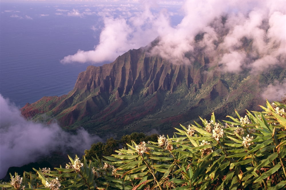 Hawaii Kauai North Shore Kalalau Valley With Yellow Ginger In Foreground Clouds C1543 Canvas Art - Carl Shaneff Design Pics (38 x 24)