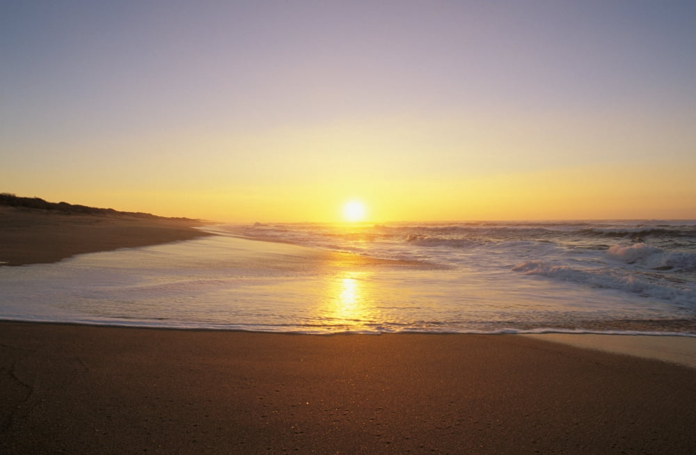 Hawaii Kauai Polihale Beach Beautiful Shoreline At Sunset Canvas Art - Bill Schildge Design Pics (34 x 22)