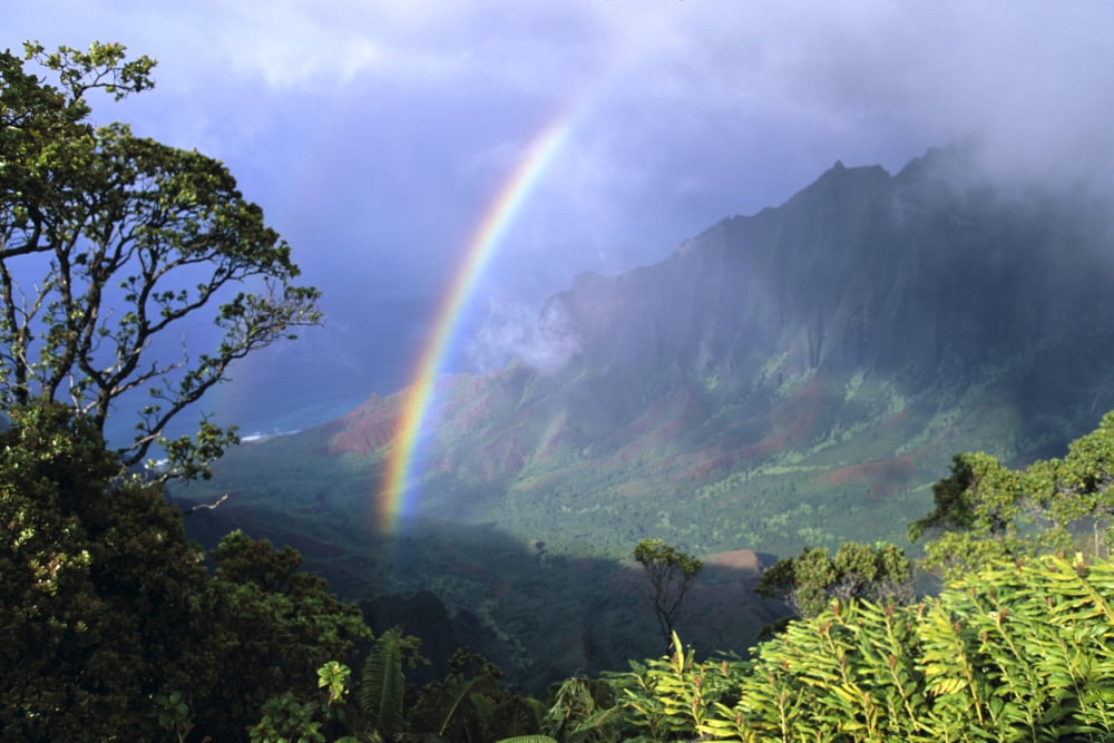 Hawaii Kauai Rainbow Over Kalalau Valley Misty Clouds Trees And Growth On Mountains Canvas Art - Brent Black Design Pics (19 x 12)