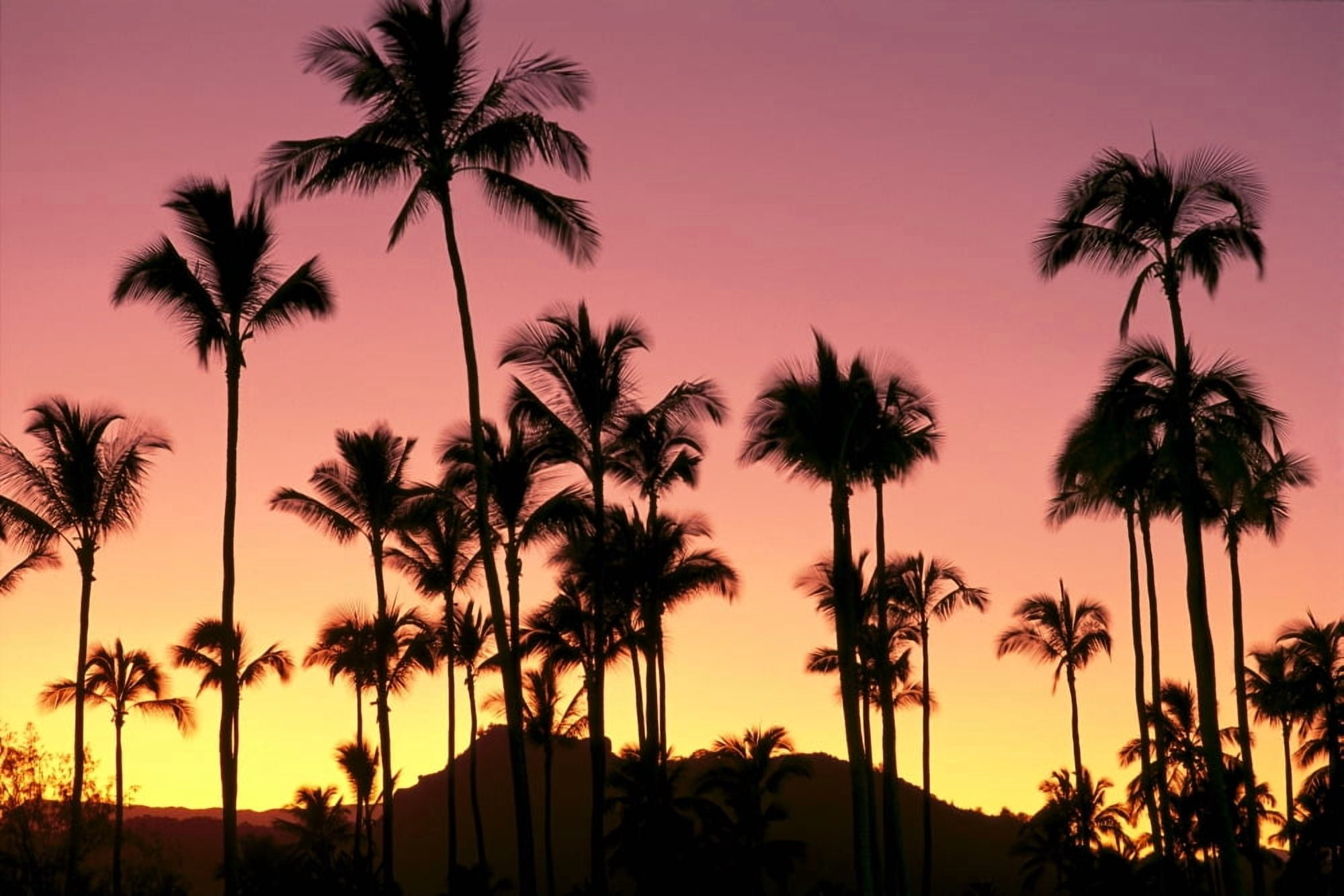 Hawaii Kauai Sleeping Giant And Coconut Grove At Sunset Silhouetted A41D Canvas Art - Carl Shaneff  Design Pics (38 x 24)