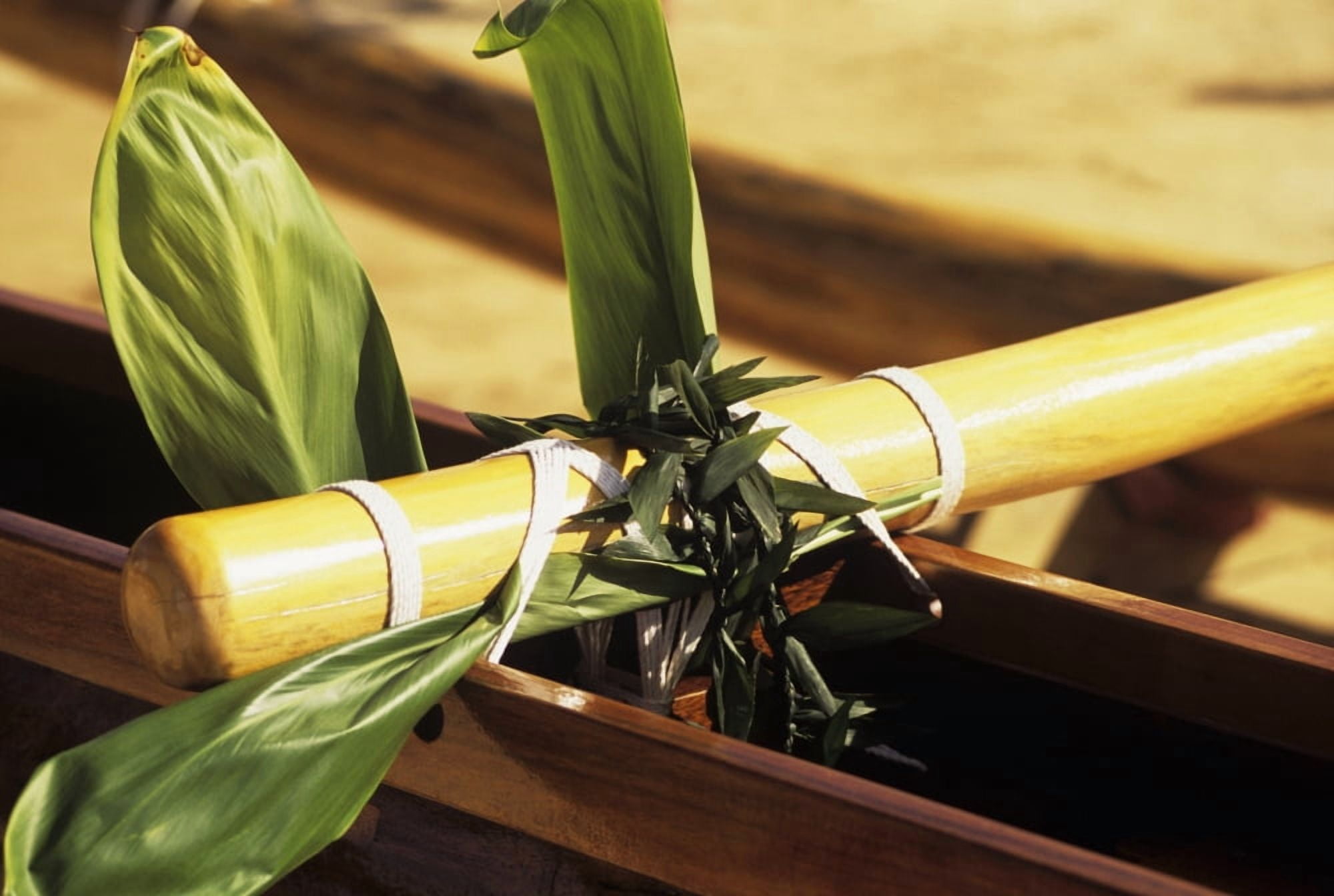 Hawaii Koa Outrigger Canoe Detail Of Ti Leaf And Leis Wrapped Around Aku And Fastening Canvas Art - Dana Edmunds Design Pics (17 x 11)