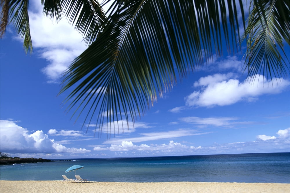 Hawaii Lanai Hulopoe Beach Palm Fronds In Foreground Beach Chairs And Umbrella C1589 Canvas Art - Dana Edmunds  Design Pics (38 x 24)
