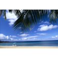 thumbnail image 1 of Hawaii  Lanai  Hulopoe Beach  Palm Fronds In Foreground  Beach Chairs And Umbrella C1589 Poster Print, 1 of 2