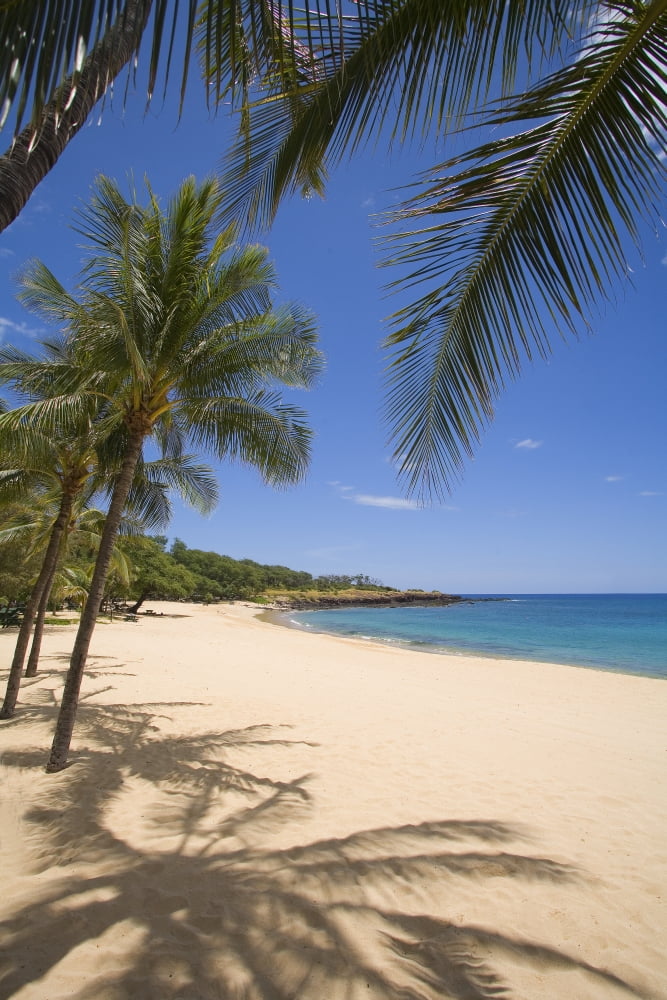 Hawaii Lanai Hulopoe Beach Palm Trees And Shadows Along Sandy Beach And Turquoise Ocean Canvas Art - Ron Dahlquist Design Pics (11 x 17)